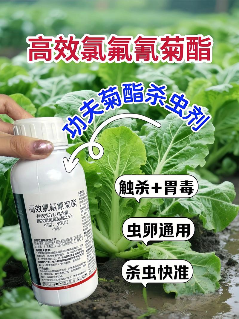 白山代生中心:农药对供卵代生妈妈的危害